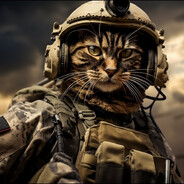 Kline Cat