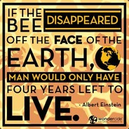 SaveTheBees