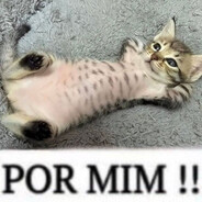 bomboclat