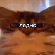 Podushka