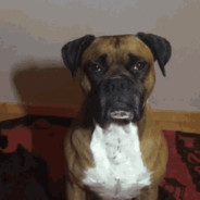 Sup