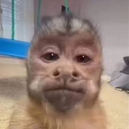aaaaaa