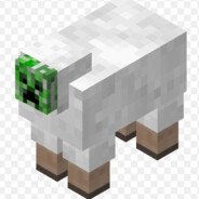 Sheeper