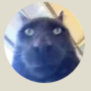 Slonger Donger