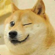DogeMcShiba