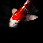 Semtrix