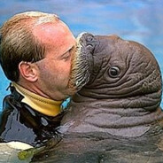 IKissManatees