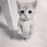 _Sofiya_