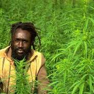 Jake from weed farm