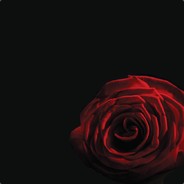 E与799