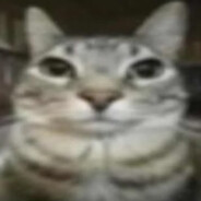 Ayyy