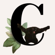 corr_ink