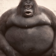 fat ape