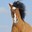 Group Avatar