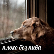 Jorik