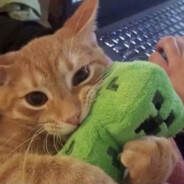 тЯНочкА