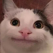 КОТЯРА