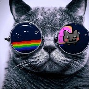 Неудержимый кот