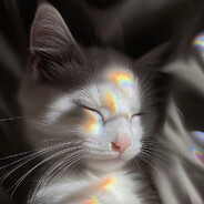 meowless
