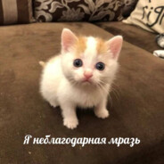 Дед на прокат