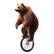 LA Zoo | Bear (retard)
