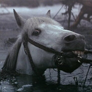 Swamp Horse