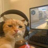 DaN