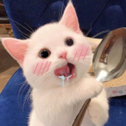 น้องกระแต