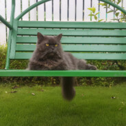 Walter The Grey