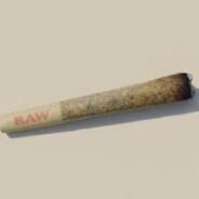SarBirJoint