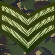 Sgt Foster