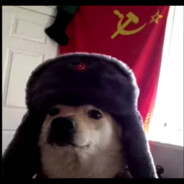 kuciak123