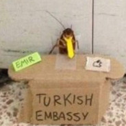 EMIR