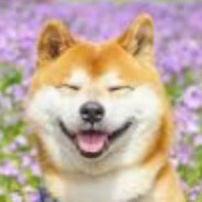 dogsuruluygavkyca