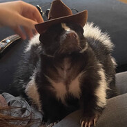TrillowSkunk
