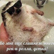 (◑‿◐)ЁшИк_СаТаНа