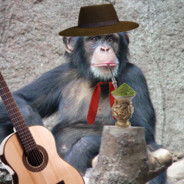 Chimpanzé Gaucho