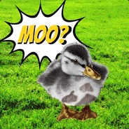theduckgoesmoo