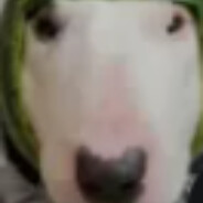 mow_mi_milordzie