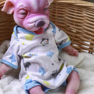 Cachorro Reborn