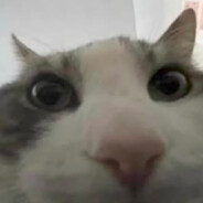 Joooai