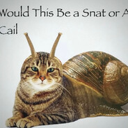 Would This Be a Snat or A Cail