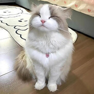싫어