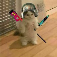 Enazyaip00