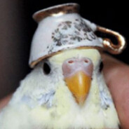BIRB