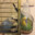 Group Avatar