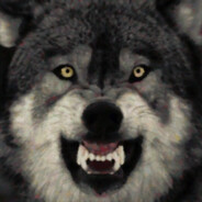 OLD WOLF