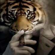 papito.motiwation._