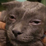 Доза жизнь