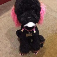 chichi